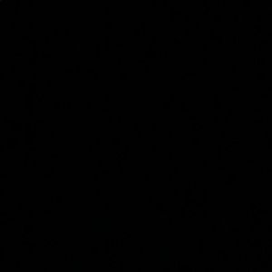 Meet your Posher, Cody